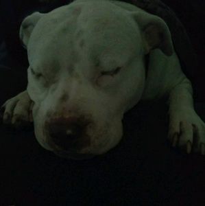 Meet your Posher, Delfina